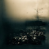 by reza ghasemizarnoosheh