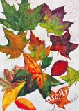 by rosemarie giordano