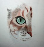 by myra naito