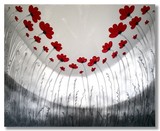 by Tracy Jolly