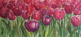 by ans hageman