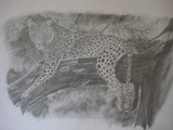 by Jacob Varghese