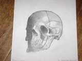 by Samantha Doucette