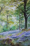 by Clive Edwards