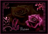by Lorinne Pippen