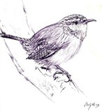 by Cindy Swinehart