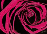 by Jennifer Jeffris