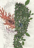 by Evyn Lindquist