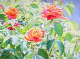by John and margaret bayalis