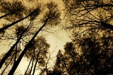 by Jason Cantrell