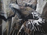 by Justin Dancing Hawk