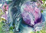 by Angelina Whittaker Cook