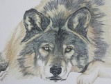 by Teddie Dumas Forbes