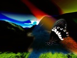 by valentina Braccia