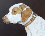 by Diane Kopczeski
