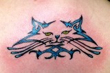 by Chris Aleman