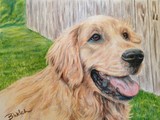 by Bonnie Welch