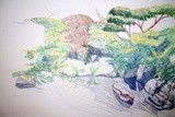 by Allison Williams Hill