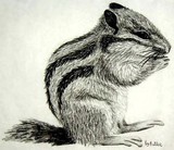 by Elizabeth Butler