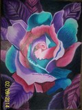 by Tameisha Harrington