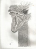 by Mike Sherman