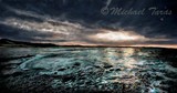 by Michael Taras