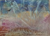 by Anne MacFarlane