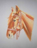 by Catherine Sandell