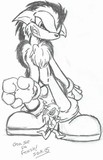 by Sami Gingerkat