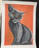 by Jennifer Taricani