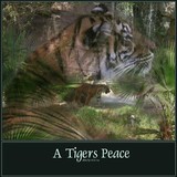by Michelle Rodger