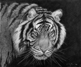 by Rand Arrington