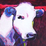 by connie van winssen