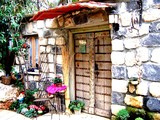 by Nira Dabush