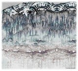 by tjames zanotti