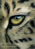 by Christina Langman