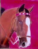 by Jackie Bentley