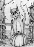 by Jeanette  Esquivel 
