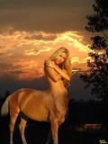 by Laurie Brookes