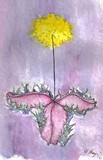 by H. Harper