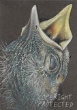 by Tammy Kuenzli