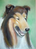 by JANIE THOMPSON-LIDE