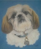 by Debbie Gray