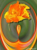 by Vilma Rohena