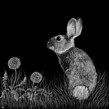 by Heather Ward
