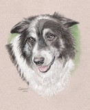 by Cindy Lambert