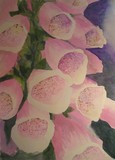 by Joanne Simpson-Connor