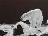 by Jo-Jo Kolodnicki, Jr.