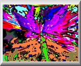 by Barry Huyett