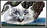 by Brenda Higgins